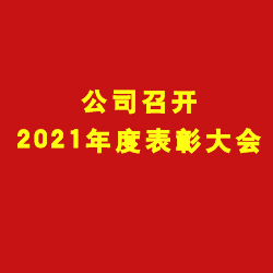 公司召开2021年度表彰大会